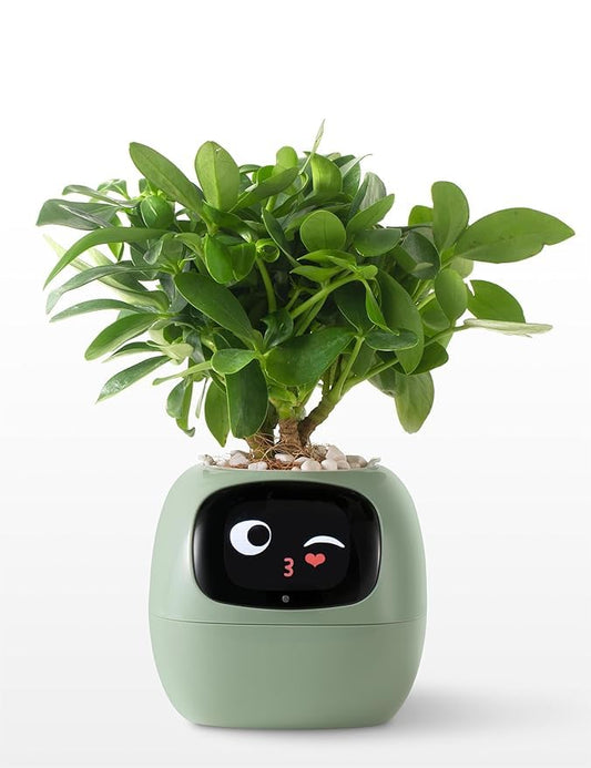 Smart Planter Endless Fun Over 49 Rich Expressions 7 Smart Sensors And AI Chips Make Raising Plants Easy And Fun